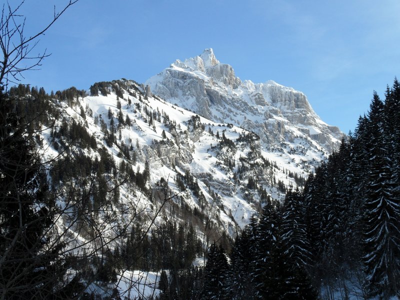 schlitteln20120218 (39).JPG