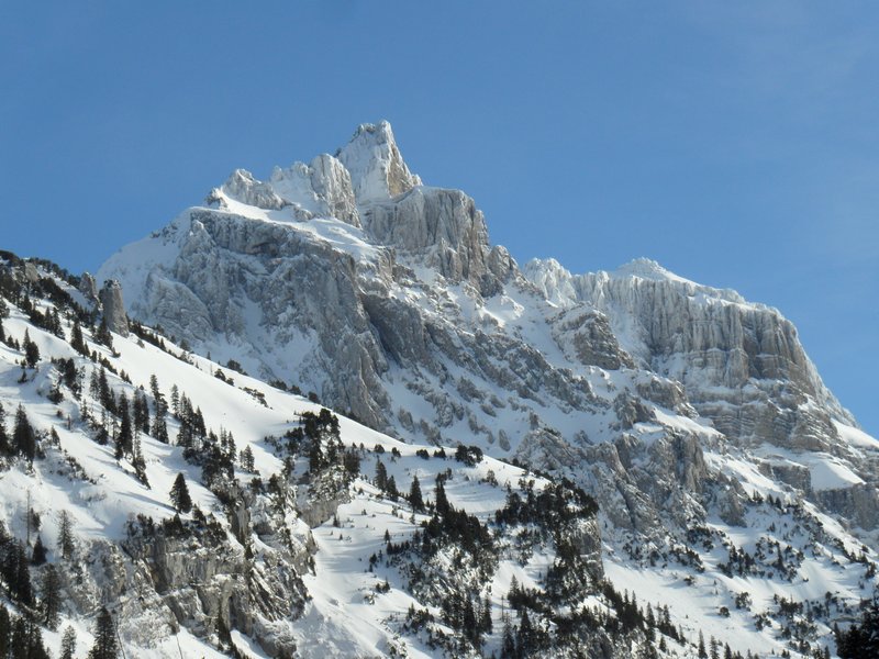 schlitteln20120218 (40).JPG