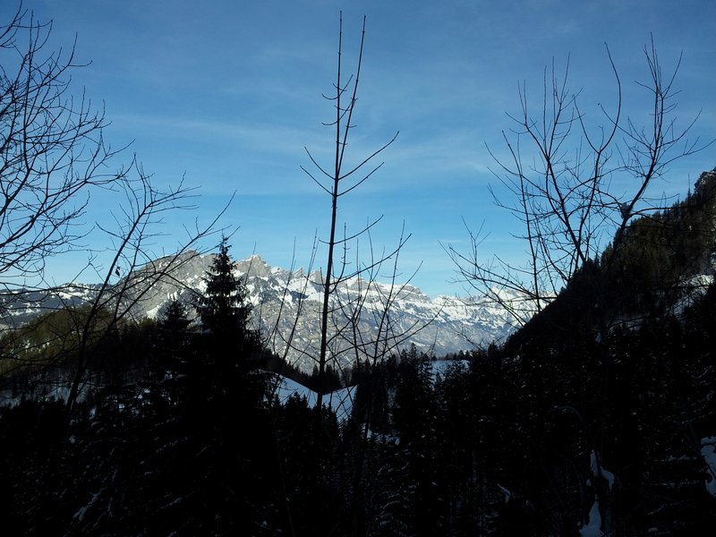 schlitteln20120218 (43).jpg