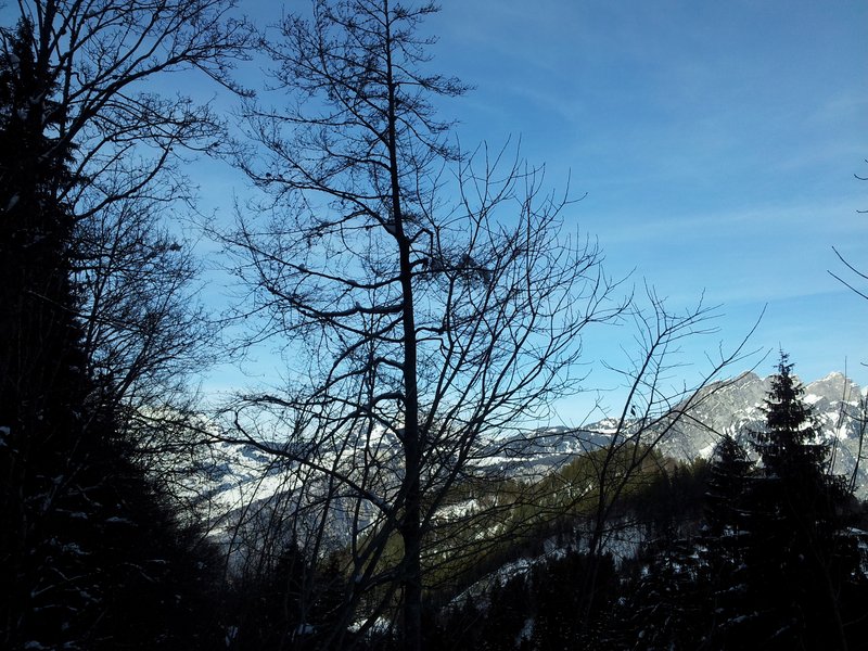 schlitteln20120218 (44).jpg