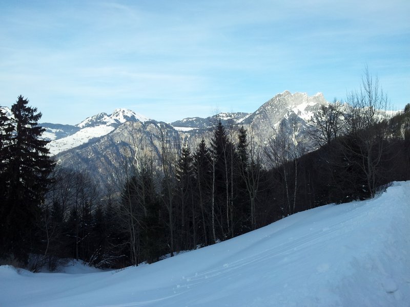 schlitteln20120218 (52).jpg