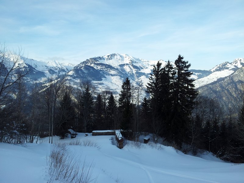 schlitteln20120218 (53).jpg