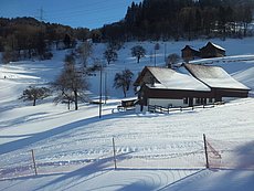 schlitteln20120218 (02).jpg