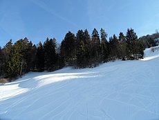 schlitteln20120218 (05).JPG