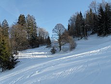 schlitteln20120218 (09).JPG