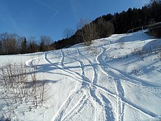 schlitteln20120218 (20).JPG