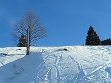 schlitteln20120218 (26).JPG