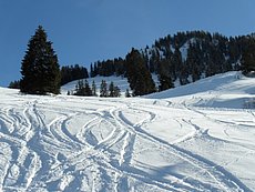 schlitteln20120218 (27).JPG