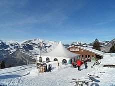 schlitteln20120218 (29).JPG
