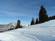 schlitteln20120218 (35).JPG