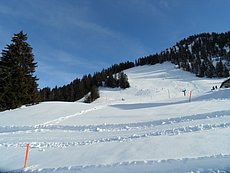schlitteln20120218 (36).JPG