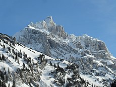schlitteln20120218 (40).JPG
