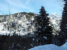 schlitteln20120218 (42).jpg