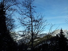 schlitteln20120218 (44).jpg