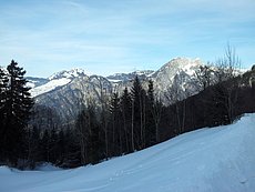 schlitteln20120218 (52).jpg