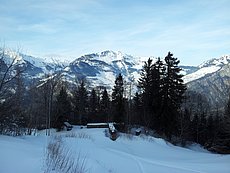 schlitteln20120218 (53).jpg