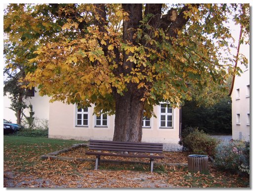 IMG00001.JPG