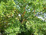 DSCI0057.JPG