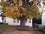 IMG00001.JPG